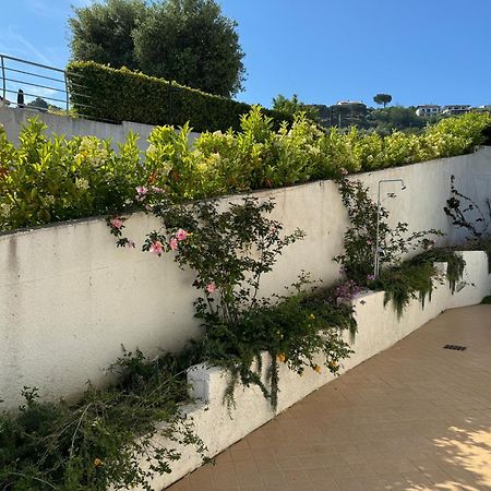 Villa Dei Fiori Zambrone Exteriér fotografie