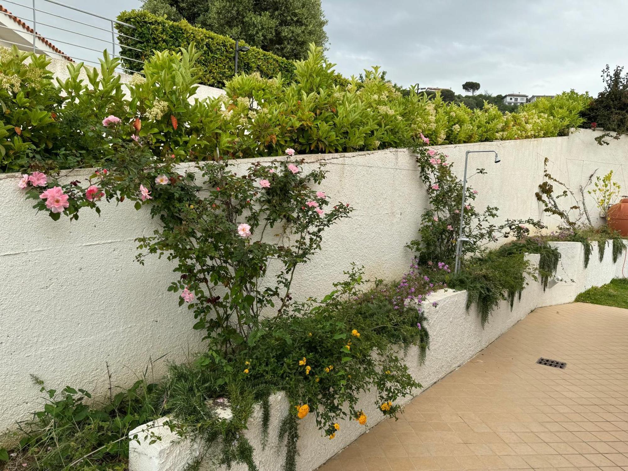 Villa Dei Fiori Zambrone Exteriér fotografie